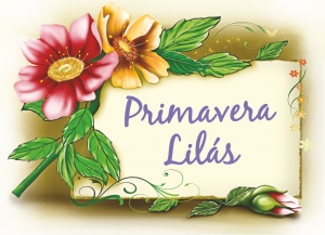 Sindilimp realiza a Primavera Lils